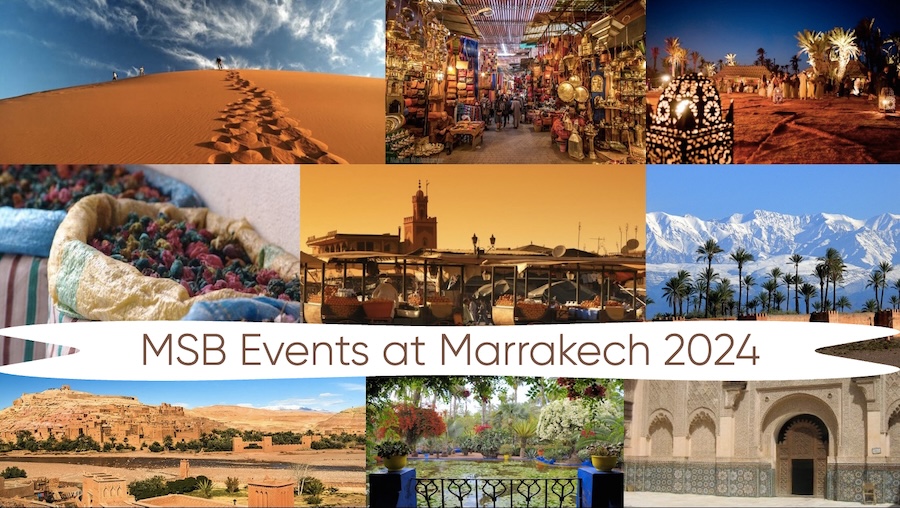 MSB Events at MICCAI 2024